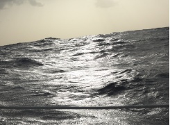 021 Wind und Wellen
