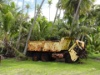 038 Ngarumoava Rairora Vergessener Traktor